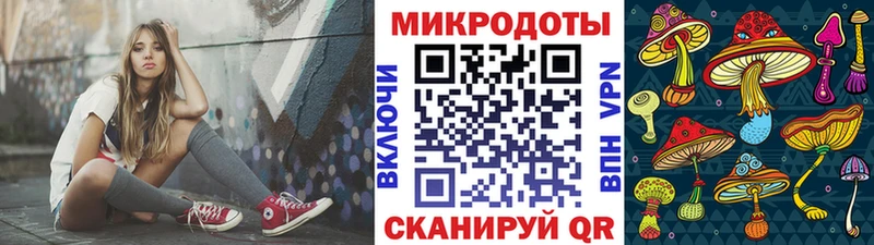 Псилоцибиновые грибы Psilocybe  Лебедянь 